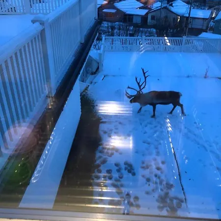 Lejlighed Moderne Og Trivelig Leilighet, Med Unik Utsikt *