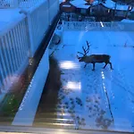 Apartamento Moderne Og Trivelig Leilighet, Med Unik Utsikt *